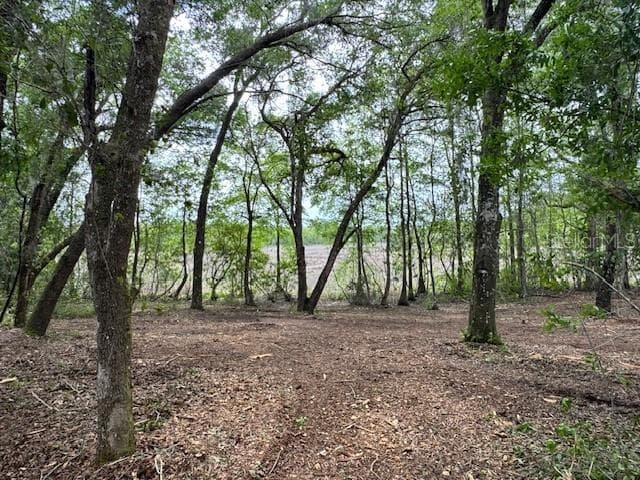 Land at LOCUST RUN CRSE, OCALA, photo 5 of 13