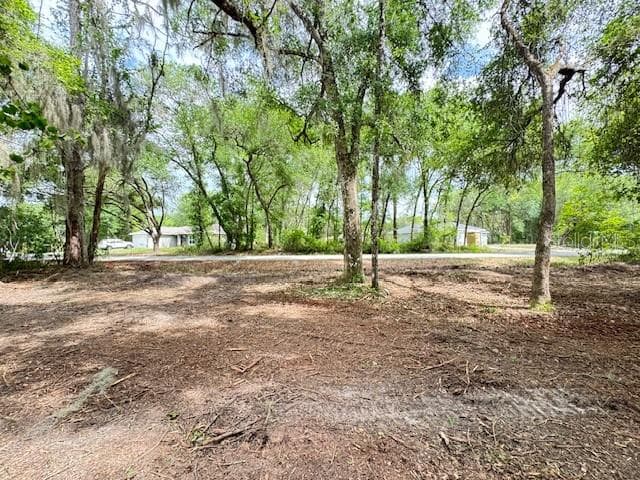 Land at LOCUST RUN CRSE, OCALA, photo 6 of 13