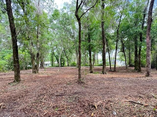 Land at LOCUST RUN CRSE, OCALA, photo 7 of 13