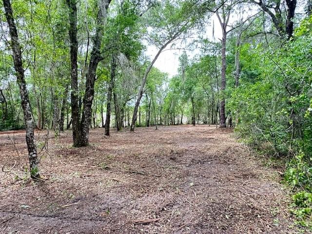 Land at LOCUST RUN CRSE, OCALA, photo 8 of 13
