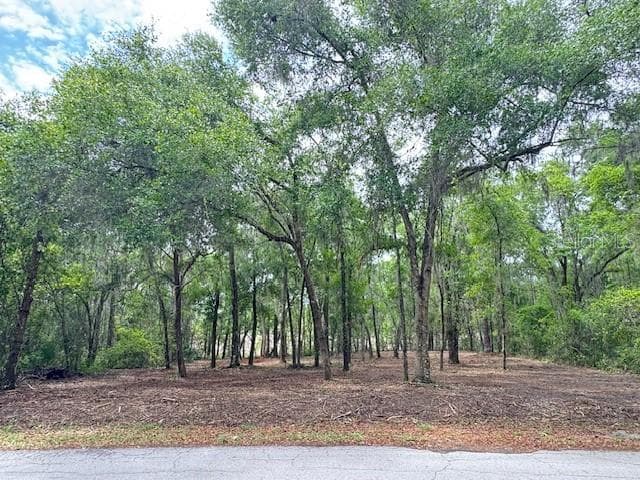 Land at LOCUST RUN CRSE, OCALA, photo 9 of 13