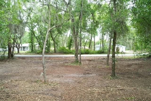 Land at LOCUST RUN CRSE, OCALA, photo 10 of 13