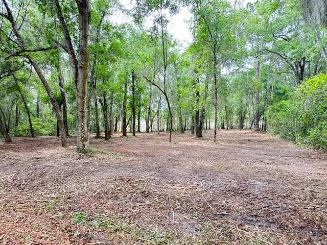Land at LOCUST RUN CRSE, OCALA, photo 11 of 13