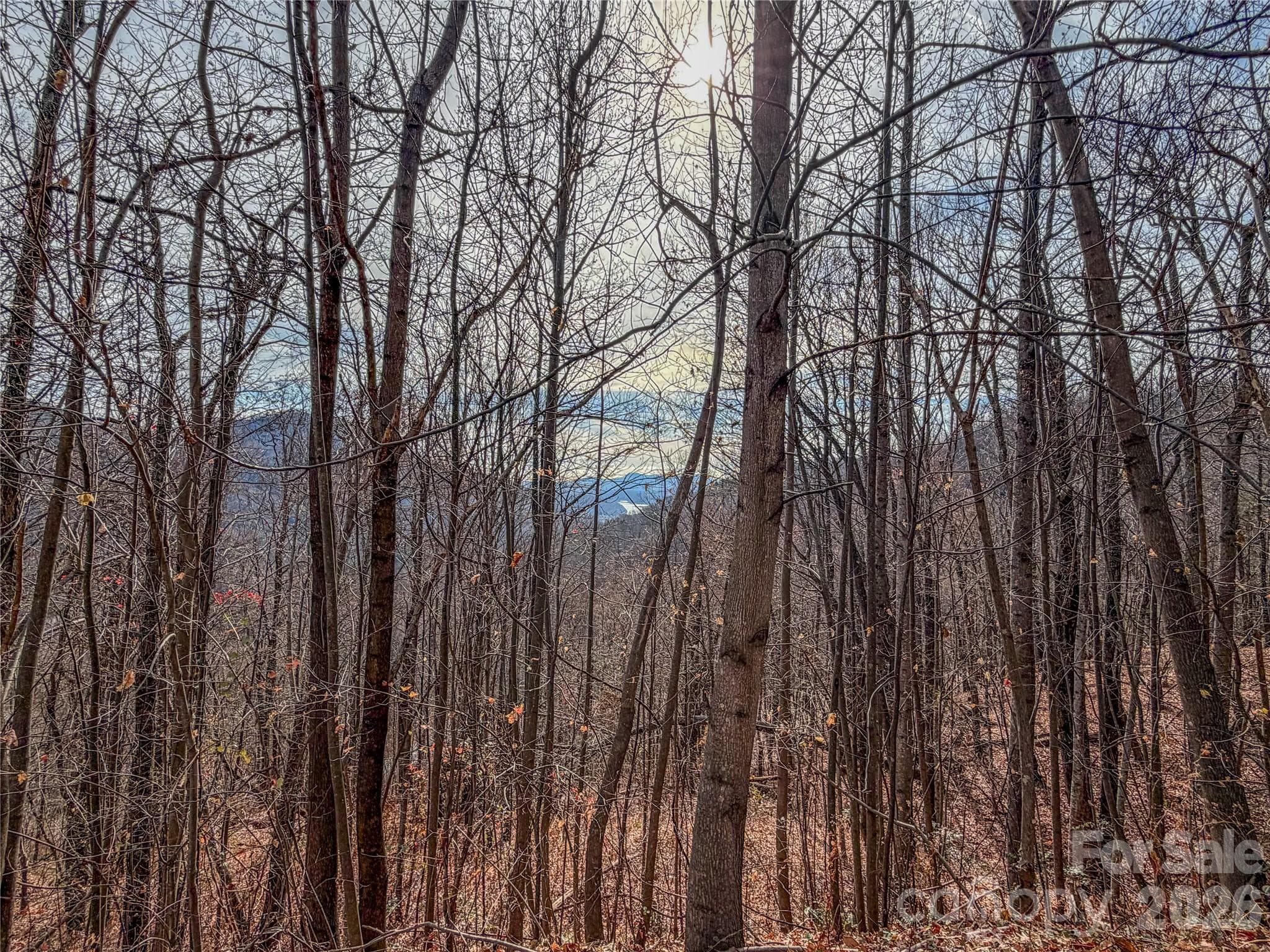 Acreage at Lake Lure, photo 2 of 8