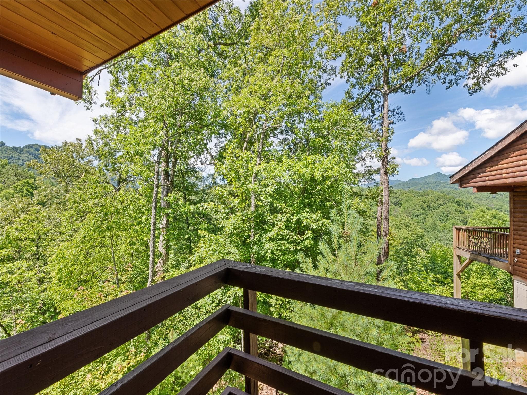 Single Family Residence at 299 Blue Ridge Parkway, Bryson City, photo 22 of 27