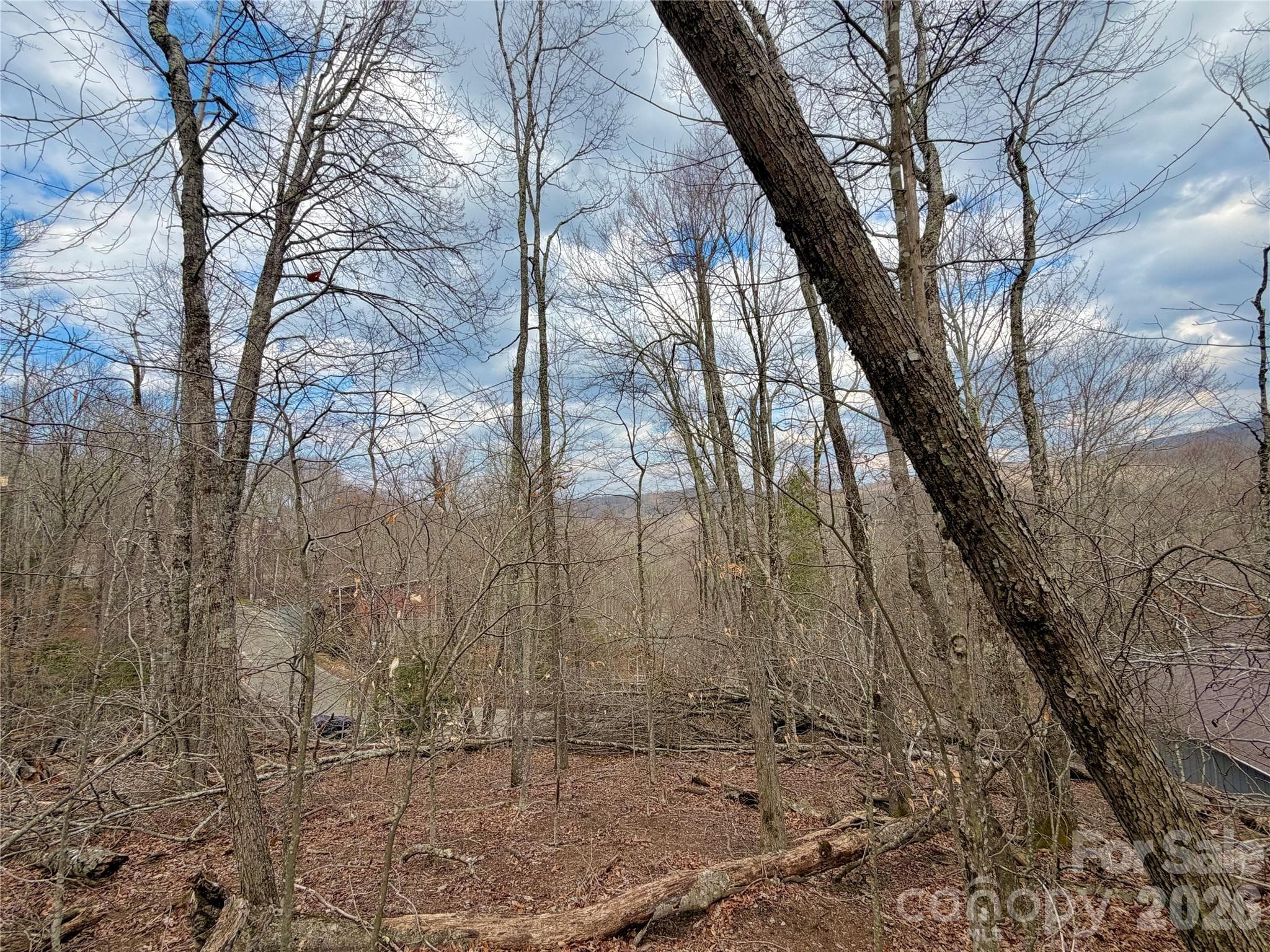 Lot at 218 lake Road, Beech Mountain, photo 6 of 10