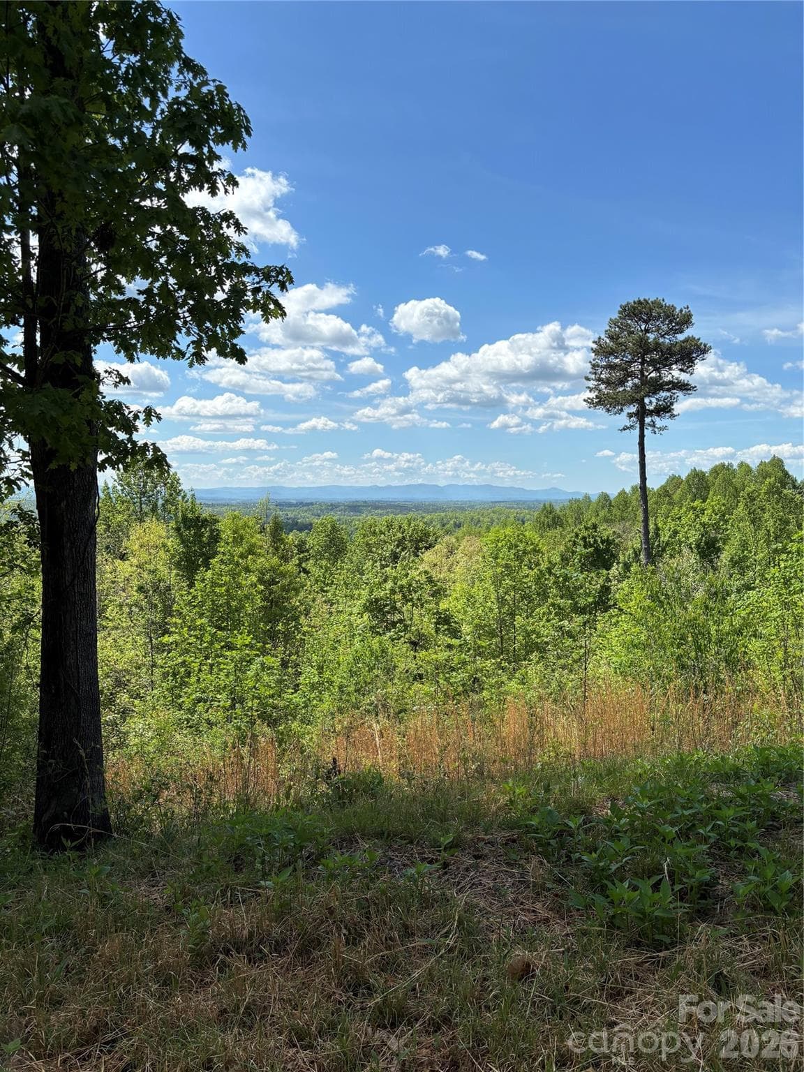 Lot at Lenoir, photo 4 of 29