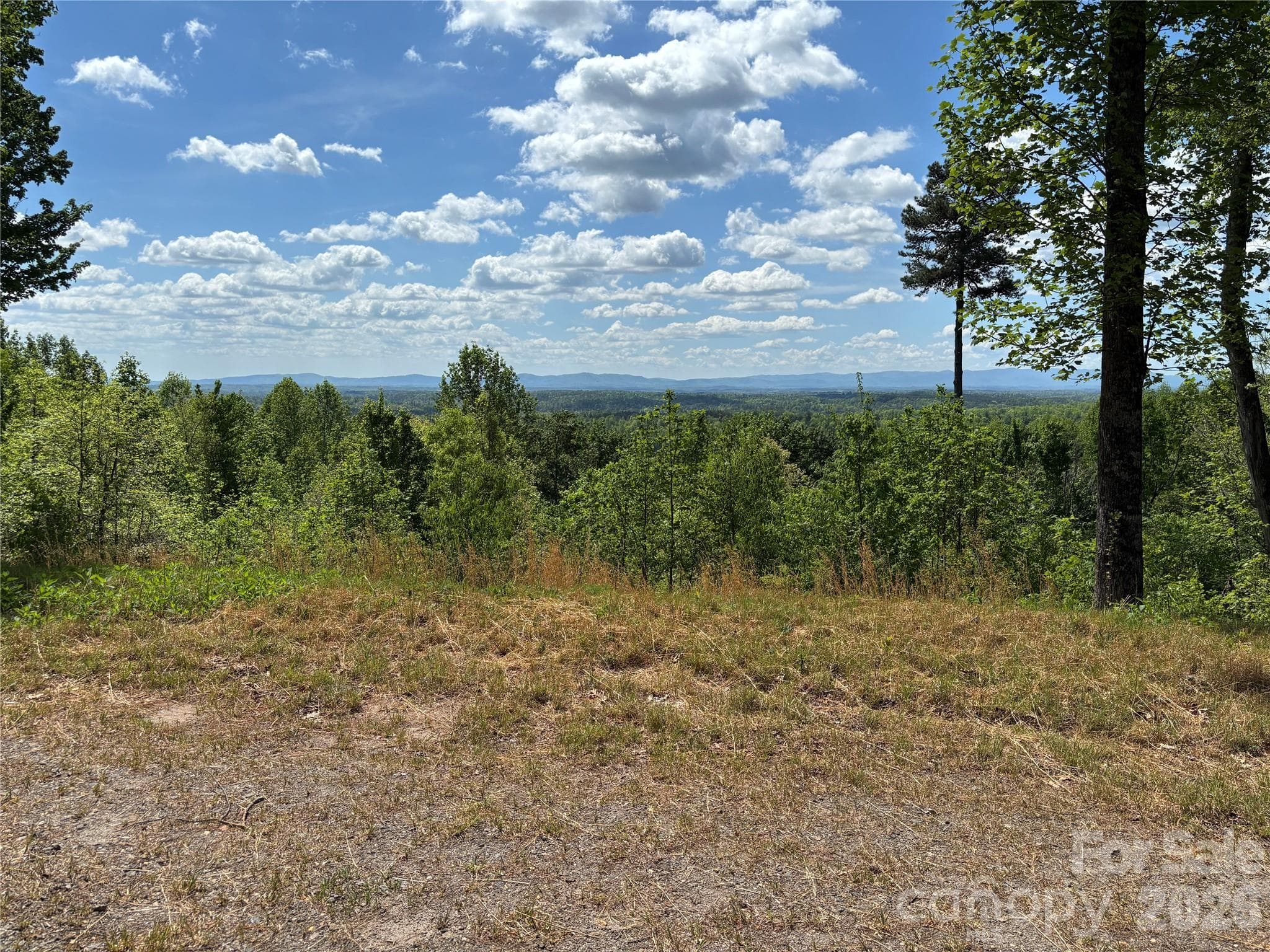 Lot at Lenoir, photo 3 of 29