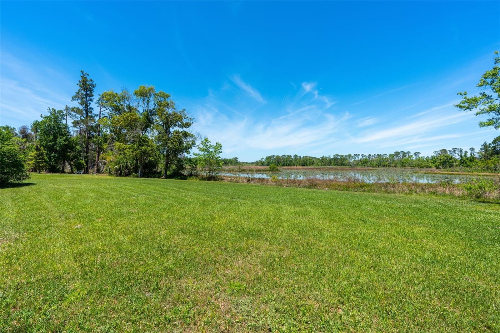 Single Family Residence at 650 OLD MIMS RD, GENEVA, photo 82 of 92