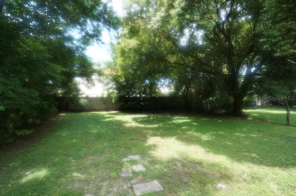 Back Yard - 305 S AUDUBON AVE, TAMPA