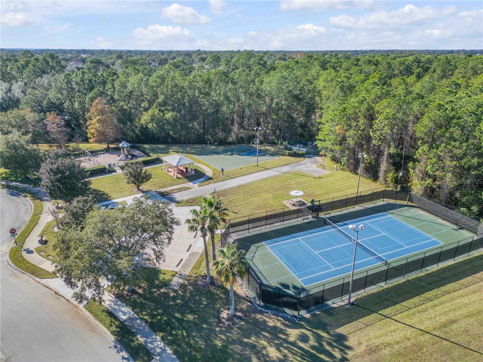 Single Family Residence at 3029 ISOLA BELLA BLVD, MOUNT DORA, photo 79 of 88