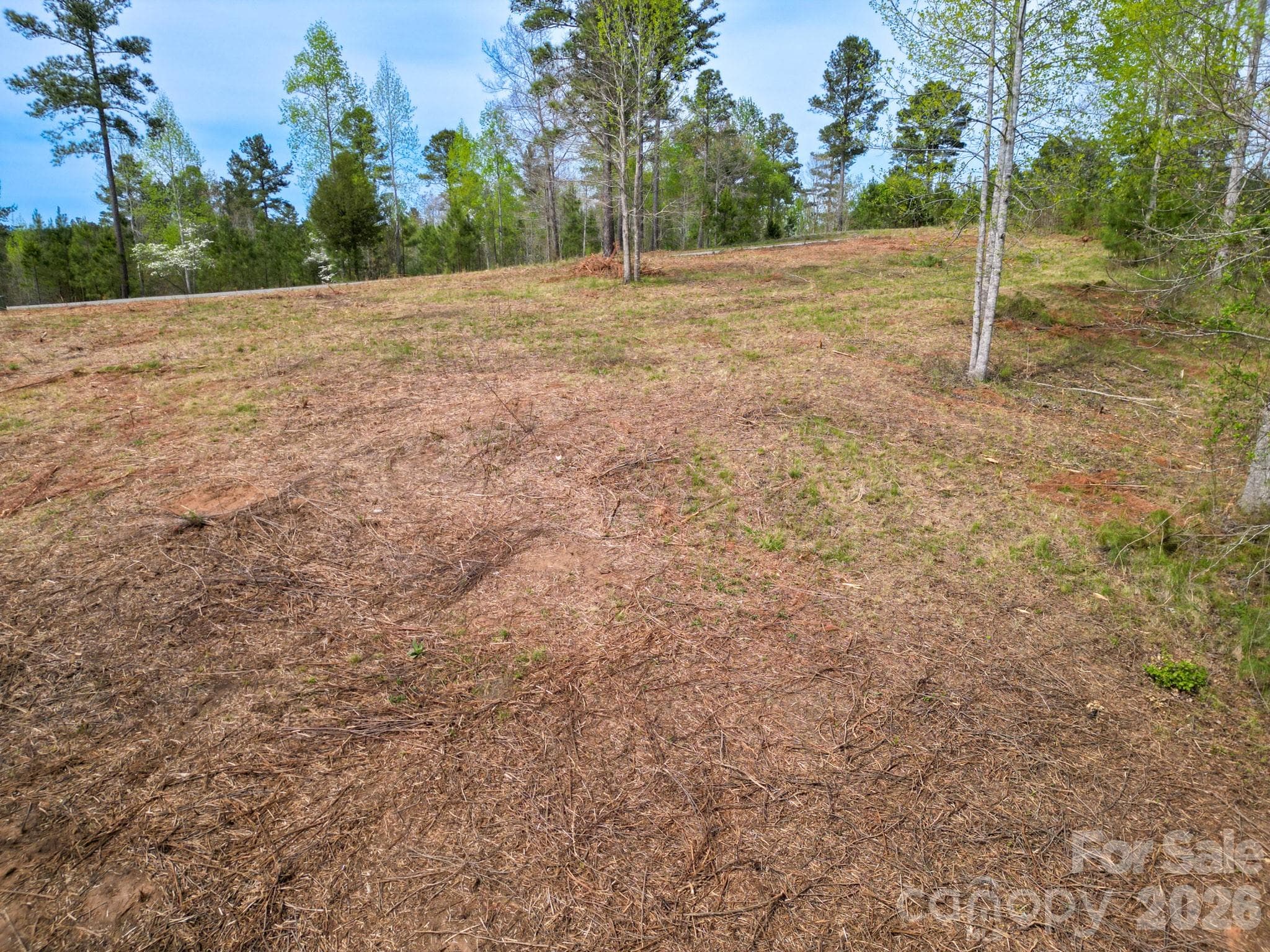 Lot at 1997 Lake Vista Drive NE, Valdese, photo 4 of 12
