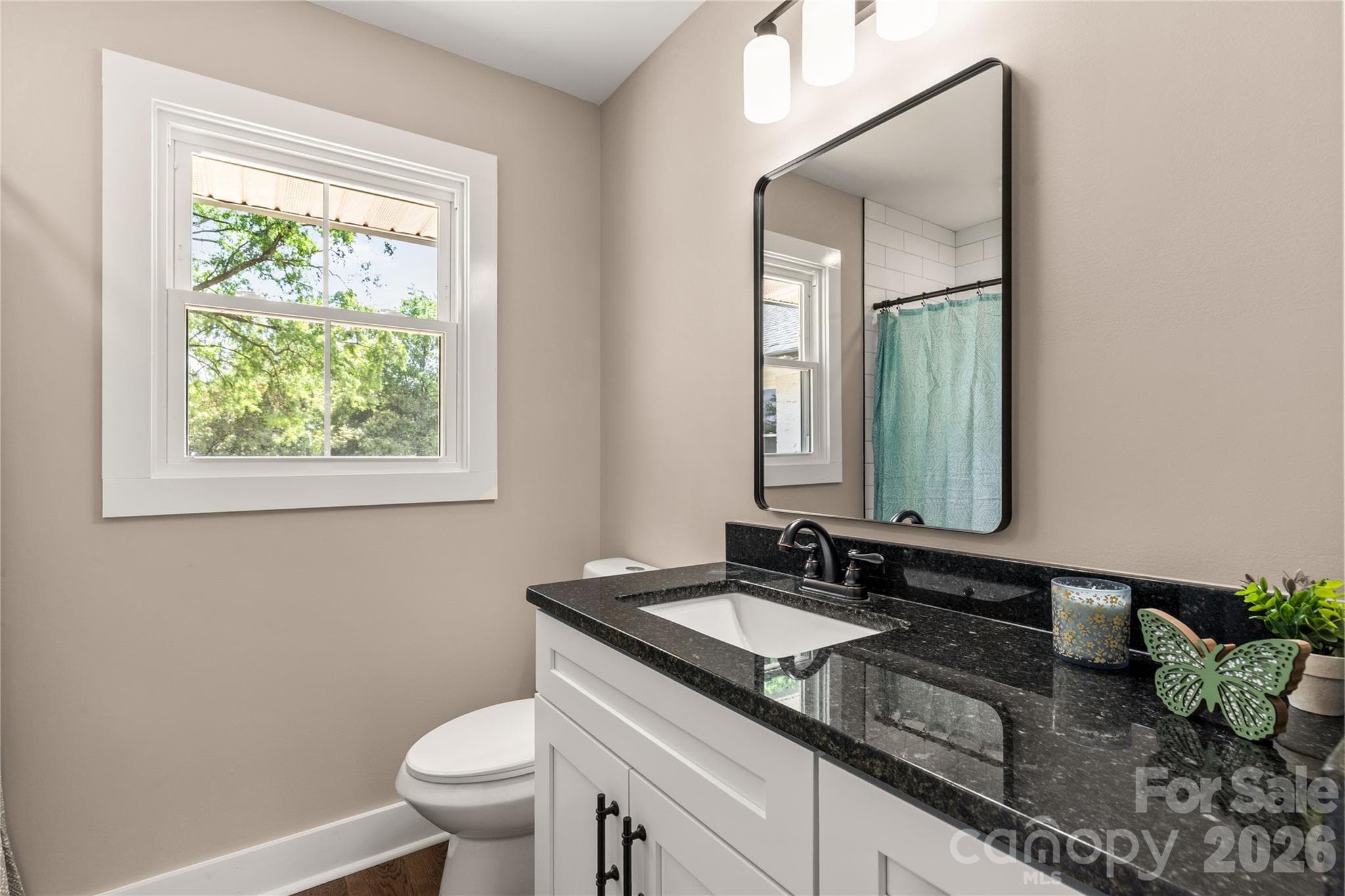 Single Family Residence at 1108 Evans Mill Road, Pageland, photo 16 of 29