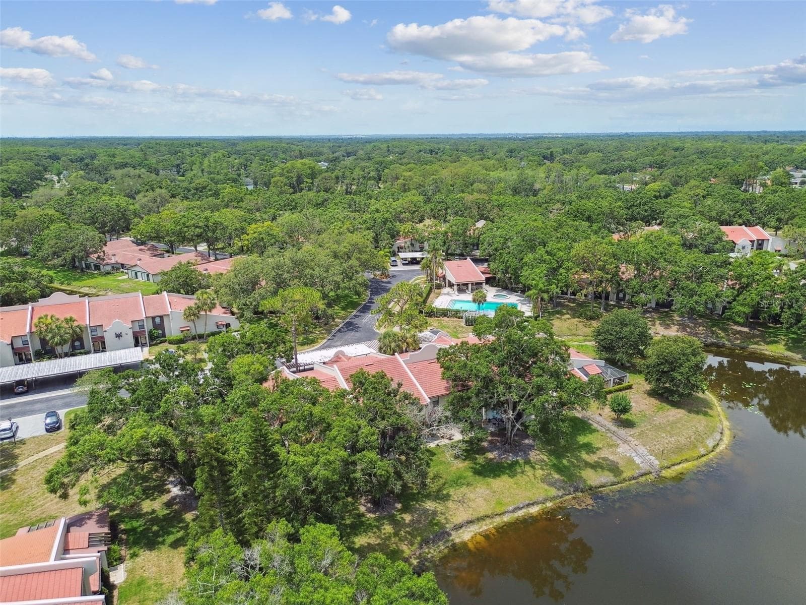 Condominium at 3505 TARPON WOODS BLVD #P404, PALM HARBOR, photo 52 of 62