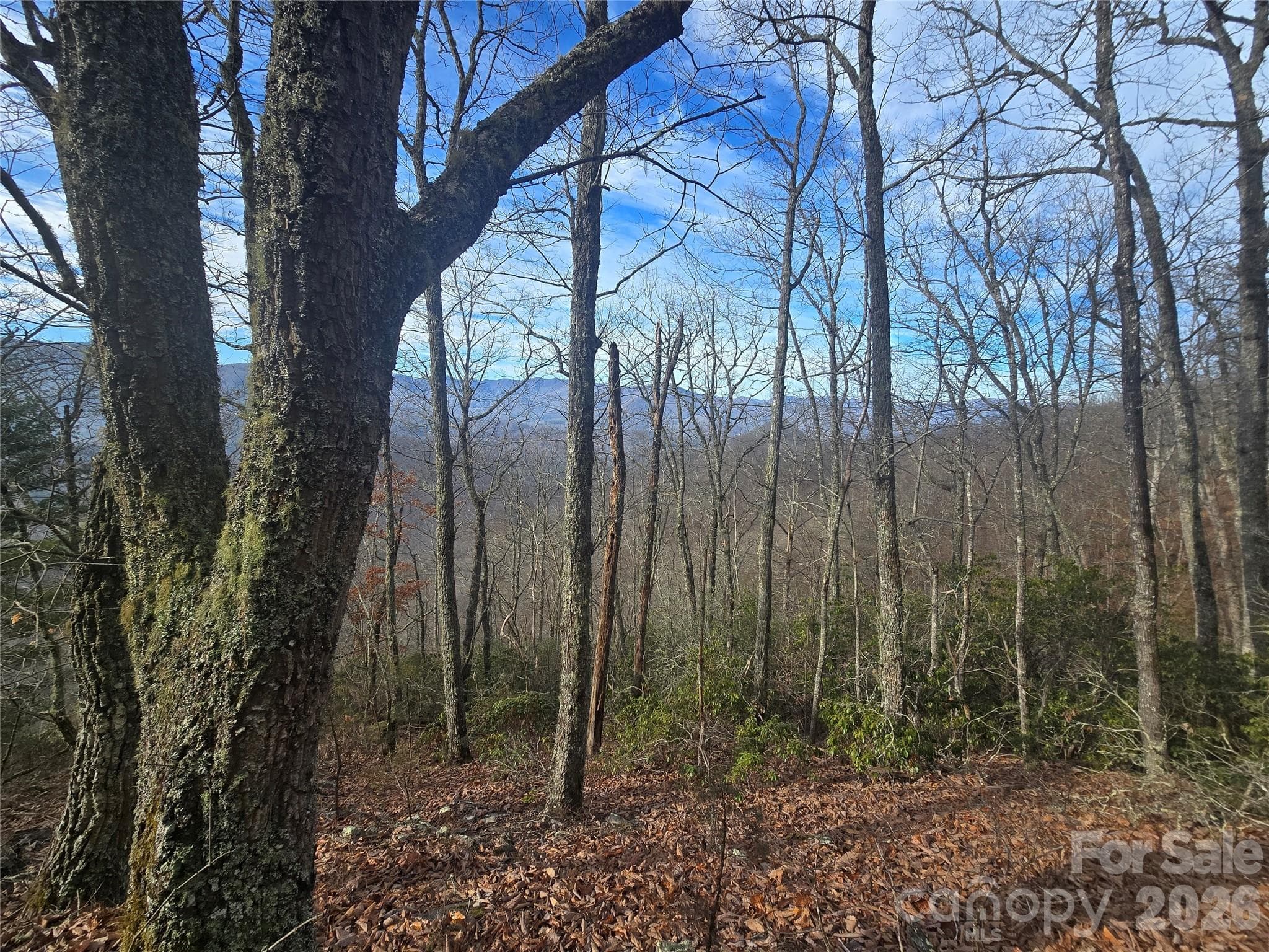 Lot at 0000 Black Mountain Road, Cullowhee, photo 3 of 14