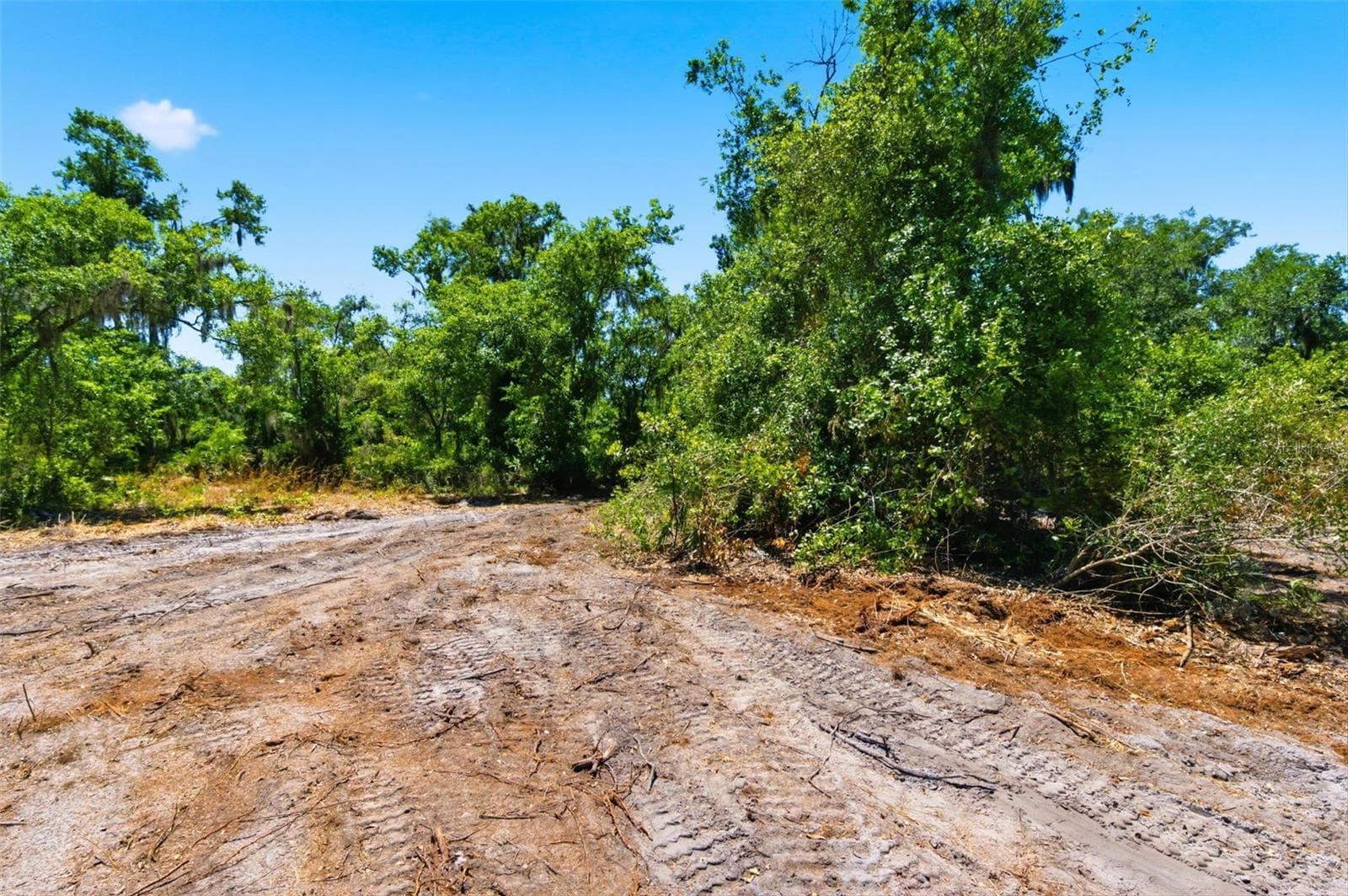 Land at 19084 RED BIRD LN #LOT 3, LITHIA, photo 8 of 9