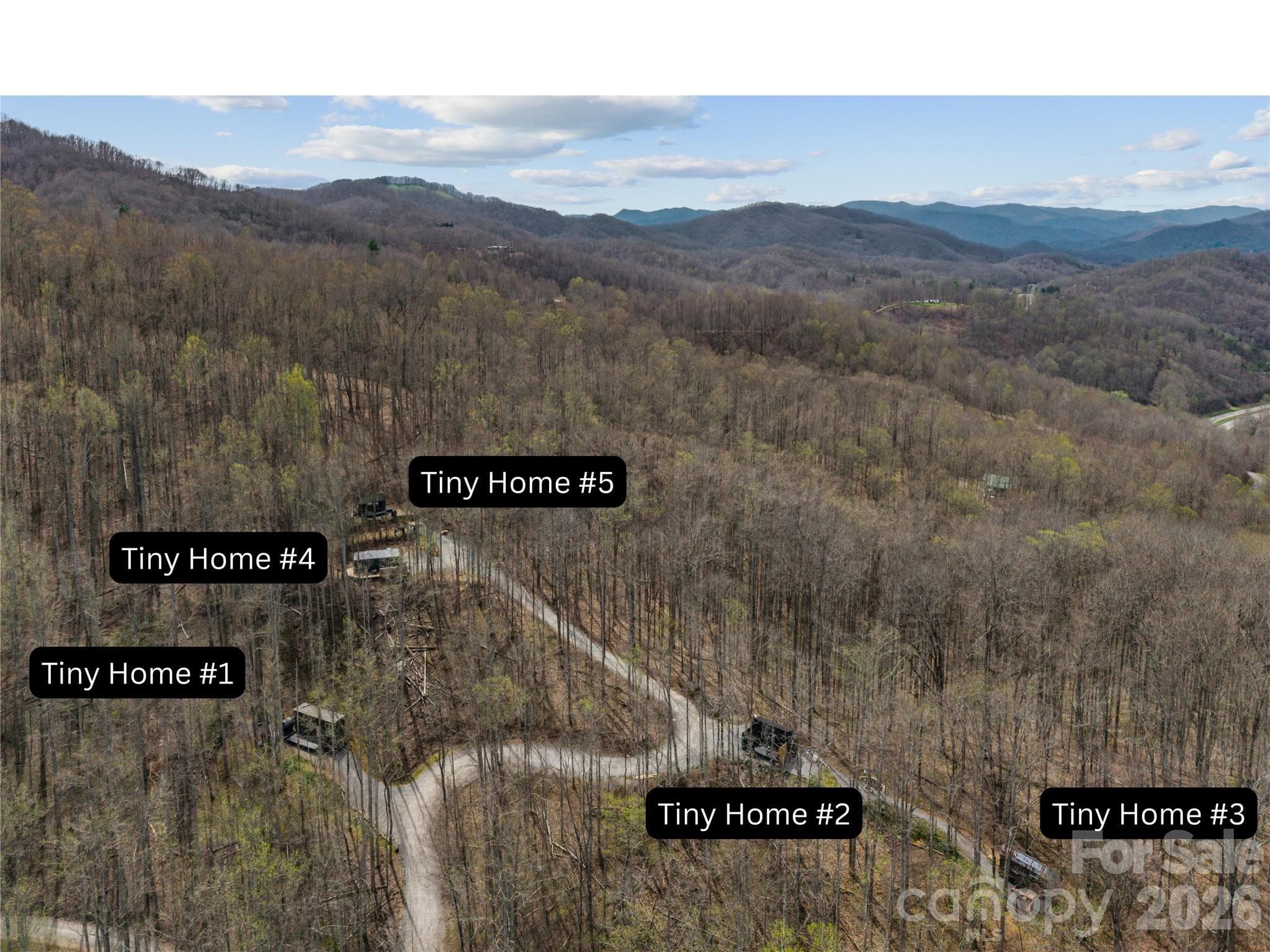 Portfolio at Sylva, photo 6 of 31