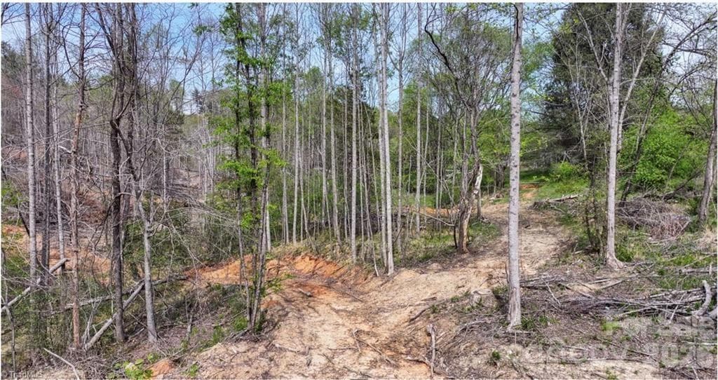 Lot at North Wilkesboro, photo 8 of 21