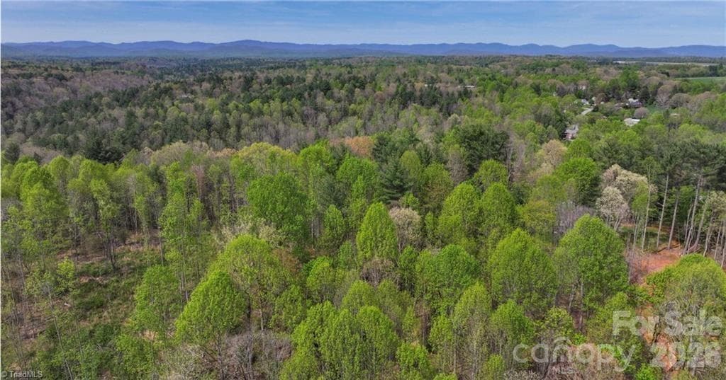 Lot at North Wilkesboro, photo 13 of 21