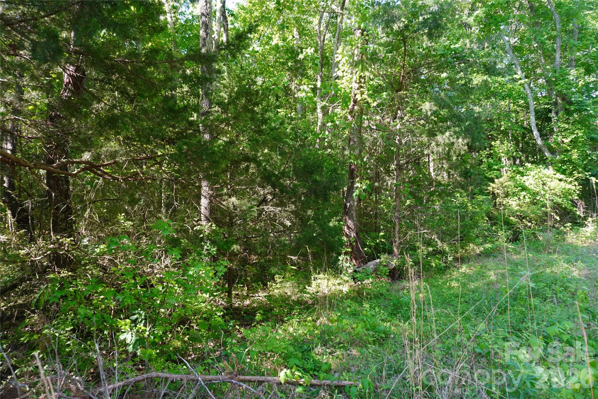 Lot at Charlotte, photo 4 of 7