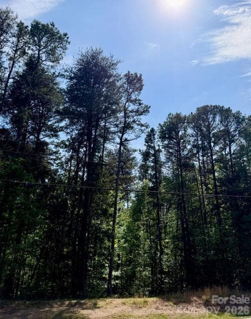 Beautiful Trees - Mooresville