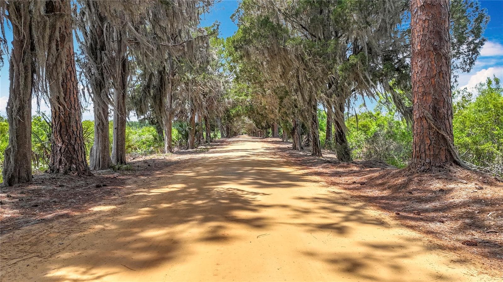 Drive onto Big Pine Island - 7374 CIRCLE DR, LADY LAKE