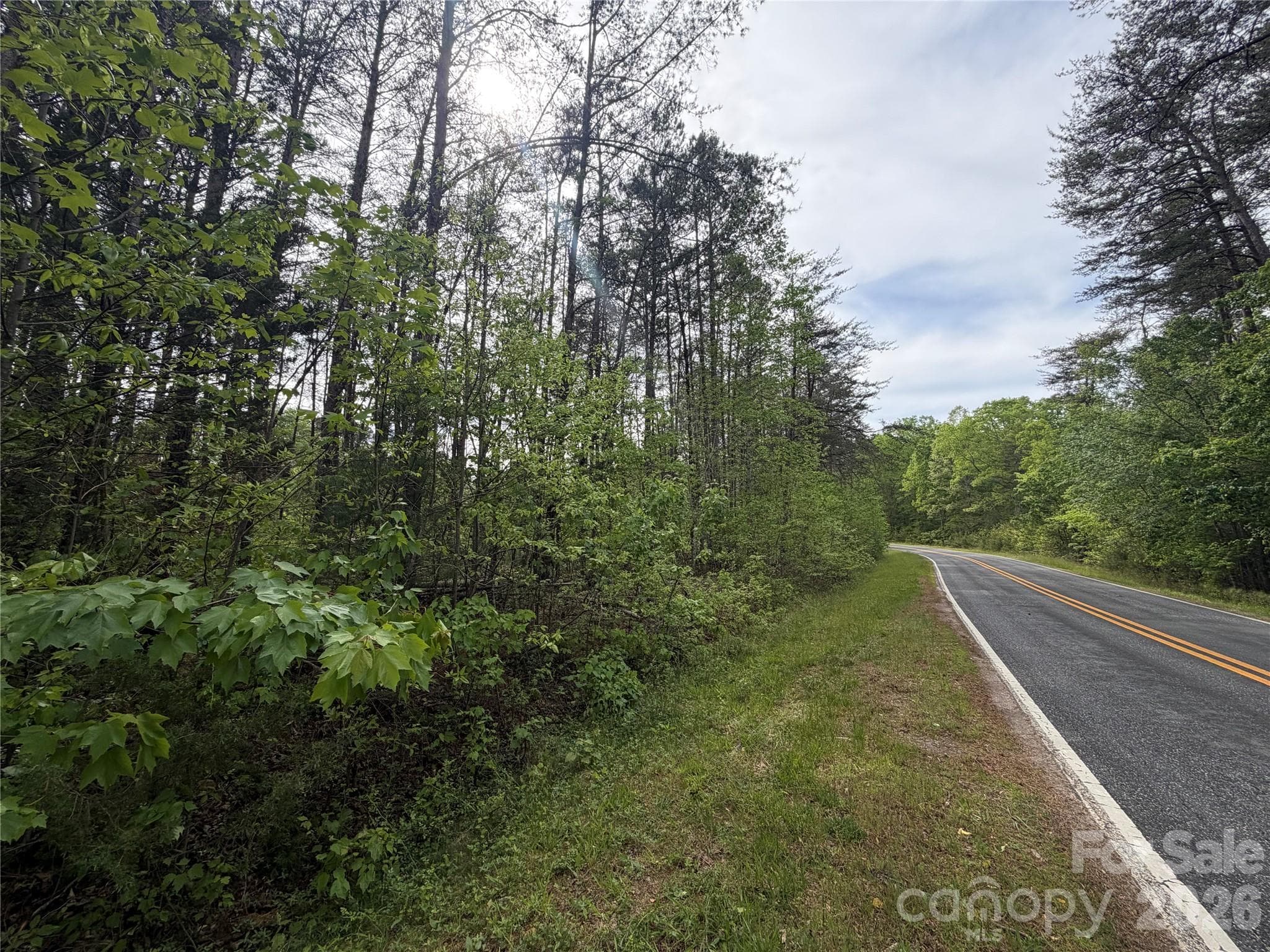 Acreage at 0 Polk County Line Road, Rutherfordton, photo 19 of 25