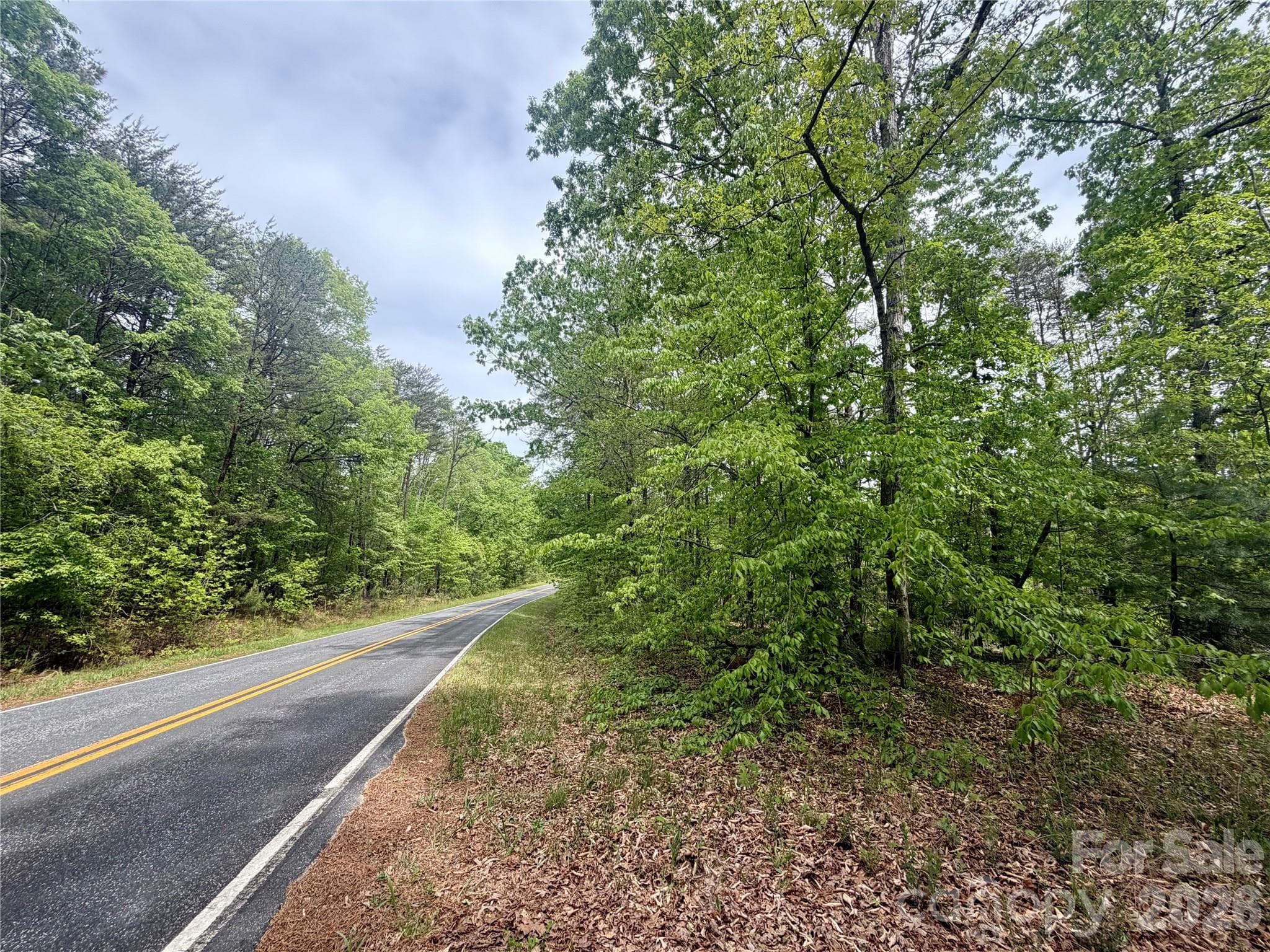 Acreage at 0 Polk County Line Road, Rutherfordton, photo 20 of 25