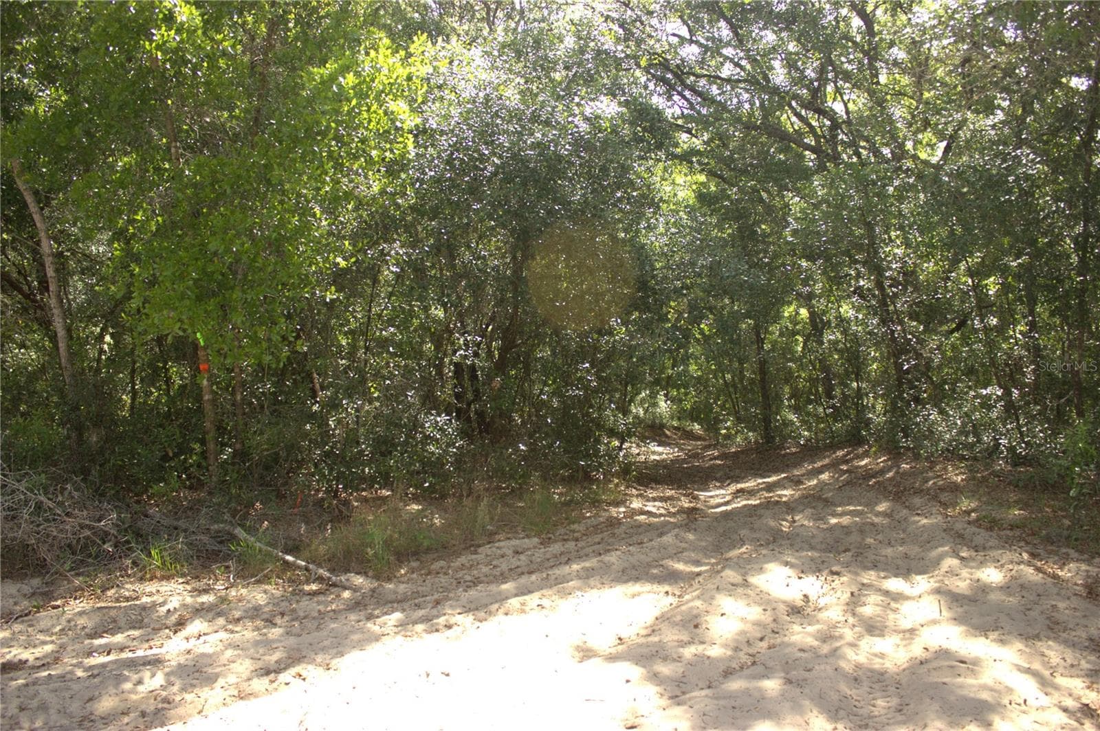 Land at REDBUD RD, LADY LAKE, photo 2 of 10