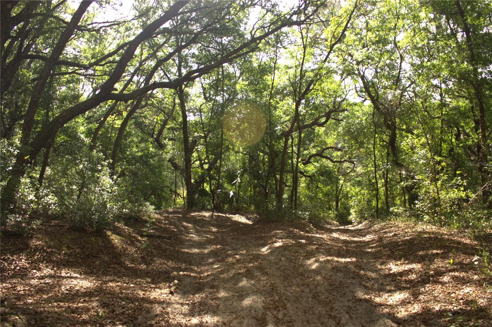 Land at REDBUD RD, LADY LAKE, photo 3 of 10