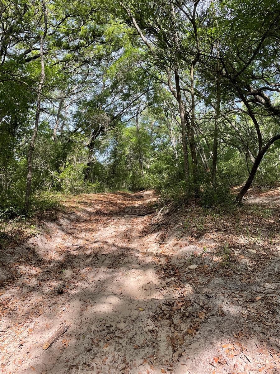 Land at REDBUD RD, LADY LAKE, photo 8 of 10