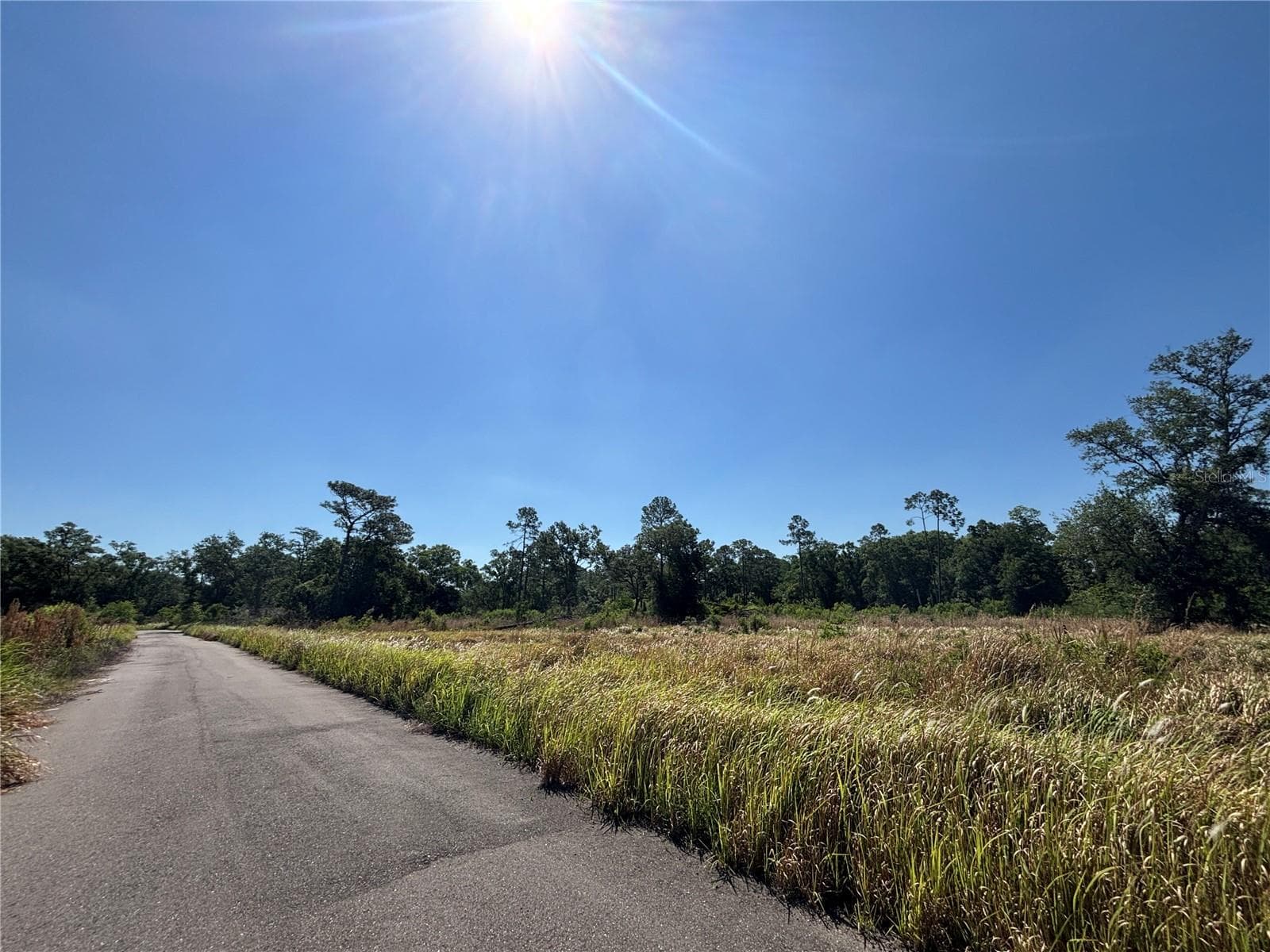 Paved road entering into community - AVONWOOD, TAMPA