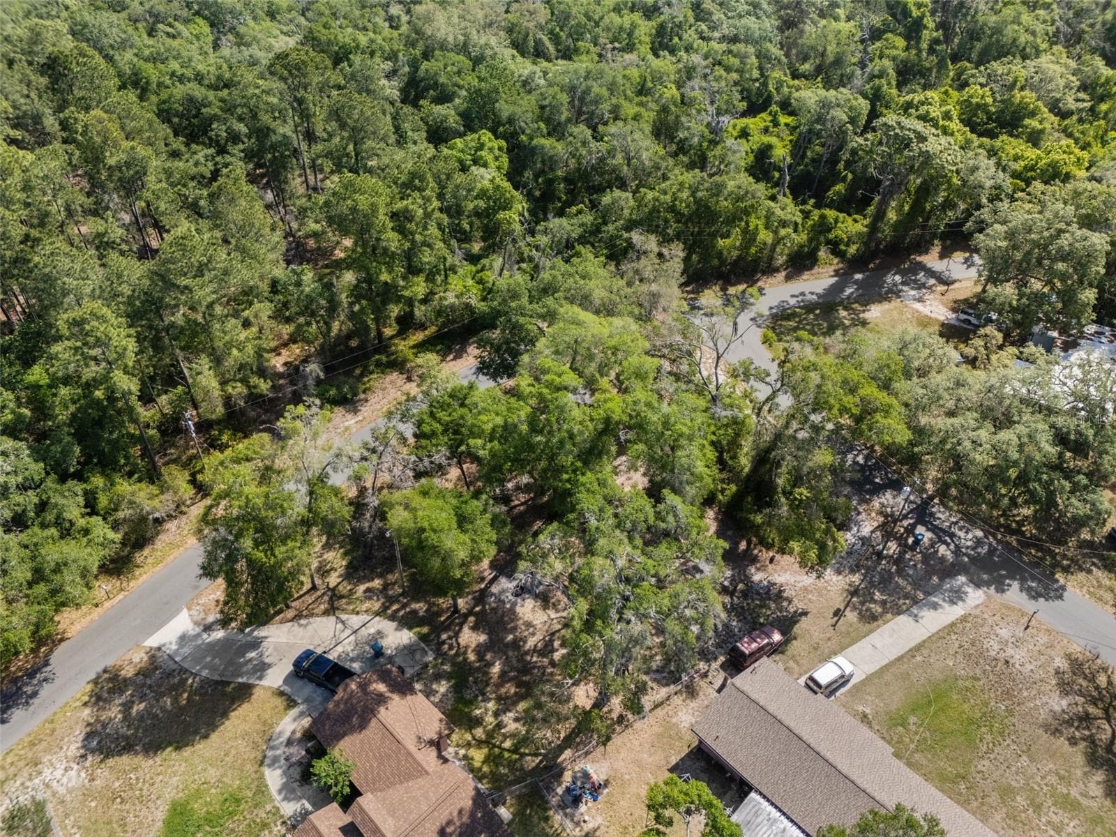 Land at 5043 CARDINAL DR, DADE CITY, photo 11 of 15