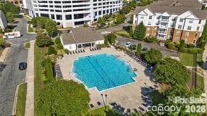 Community Pool - Charlotte