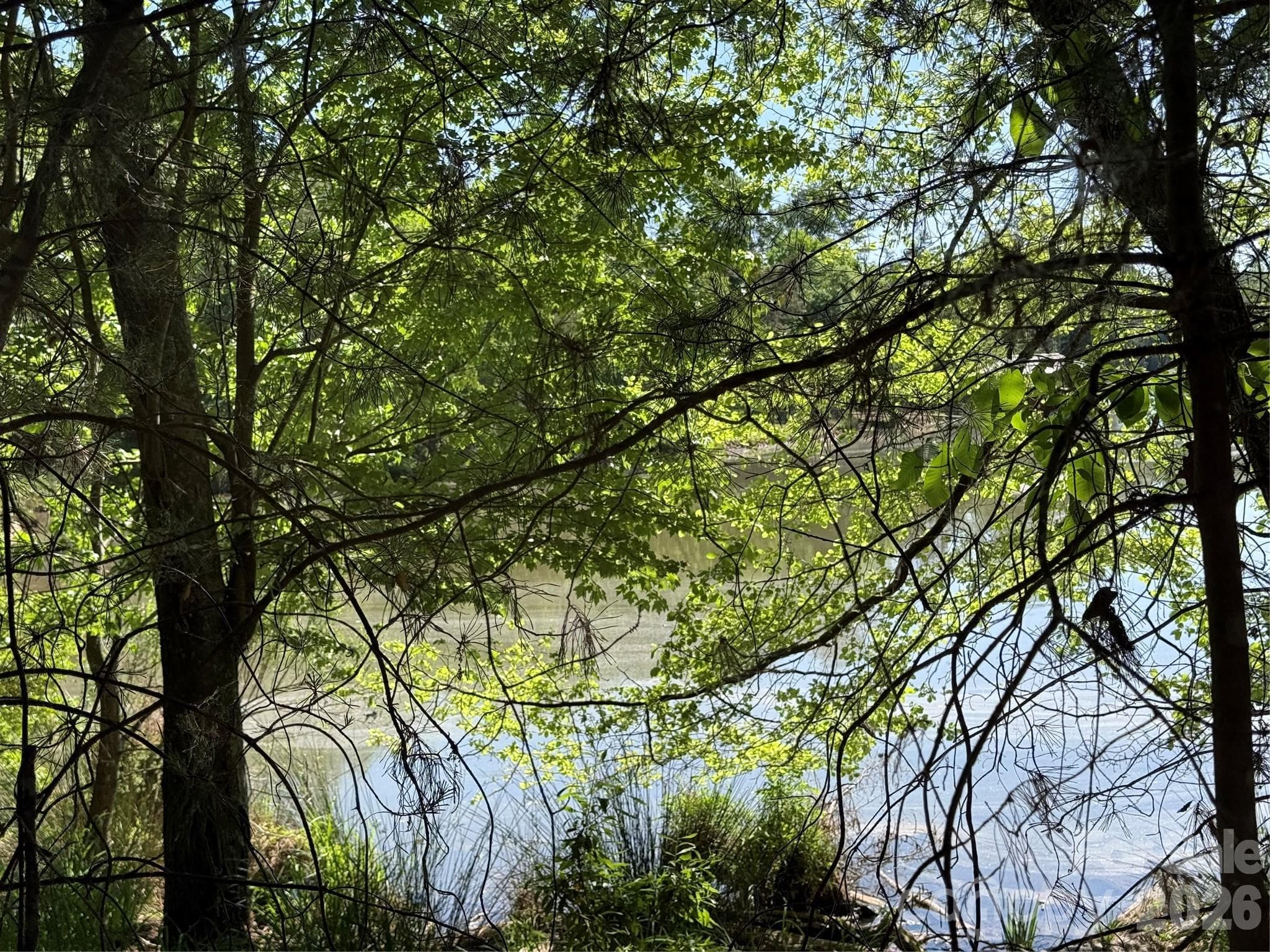 Lake Front - Year round water views! - 18524 Mainsail Court, Lancaster