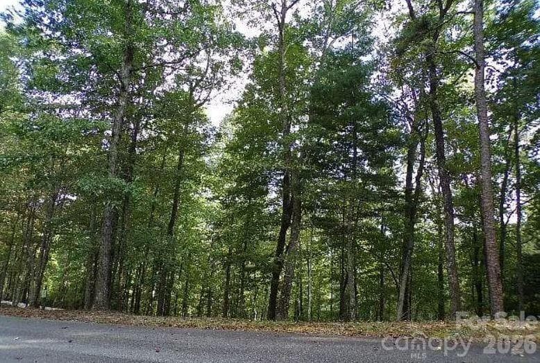 Lot at 100 Black Bear Ridge Trail, Zirconia, photo 2 of 7