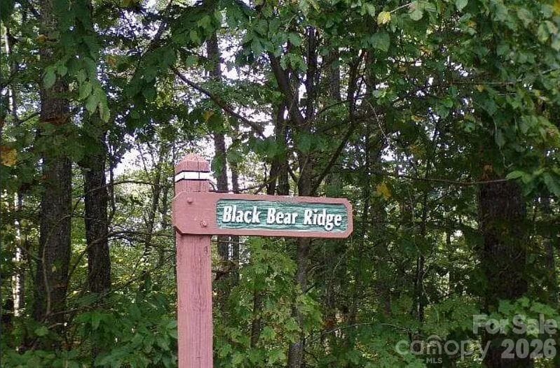 Lot at 100 Black Bear Ridge Trail, Zirconia, photo 3 of 7