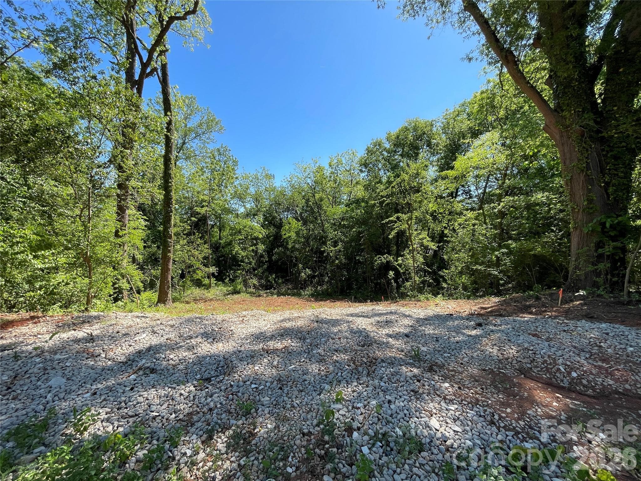 Lot at Charlotte, photo 4 of 6