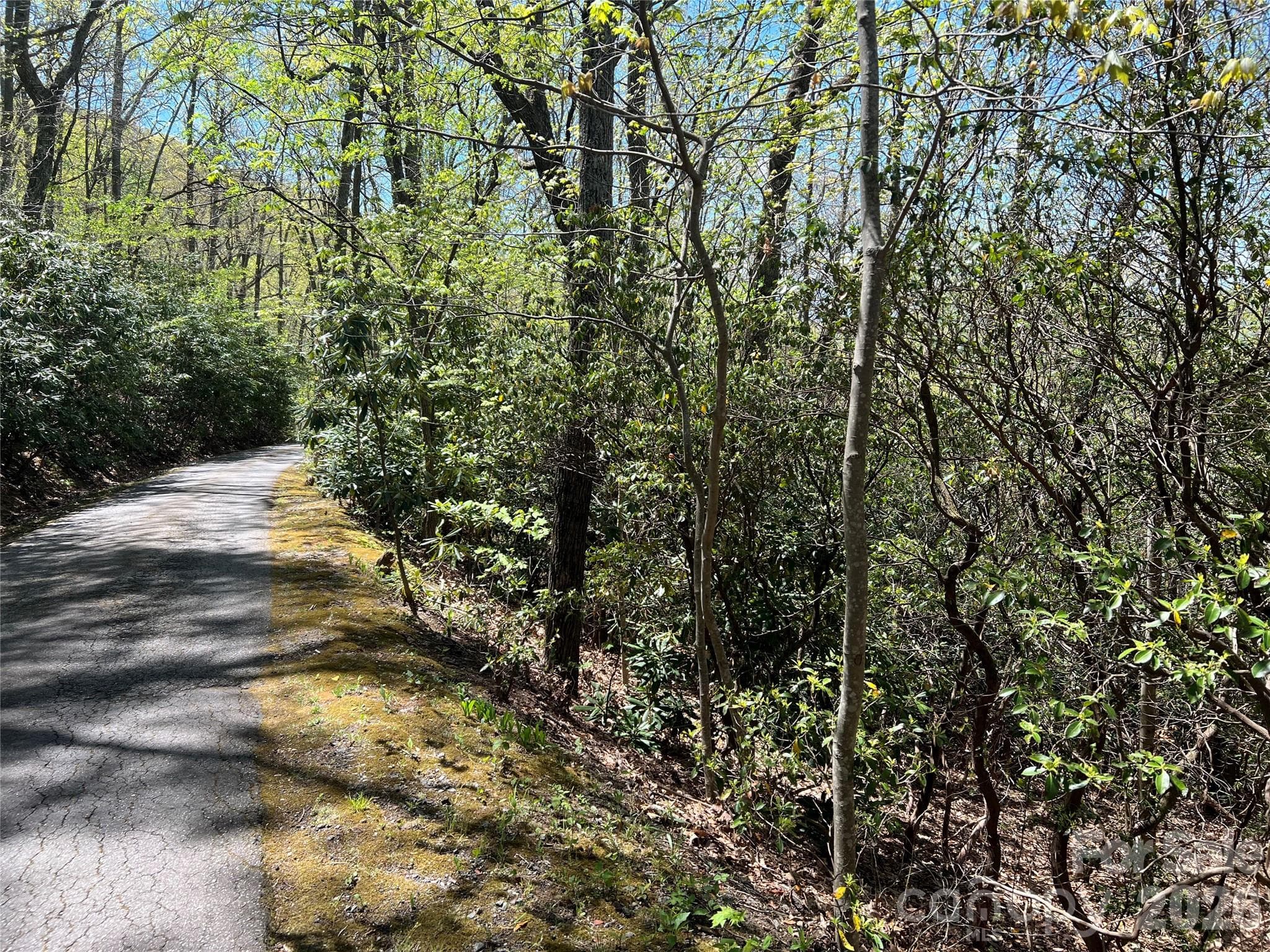 Lot at 99999 Summer Haven Road, Swannanoa, photo 2 of 5
