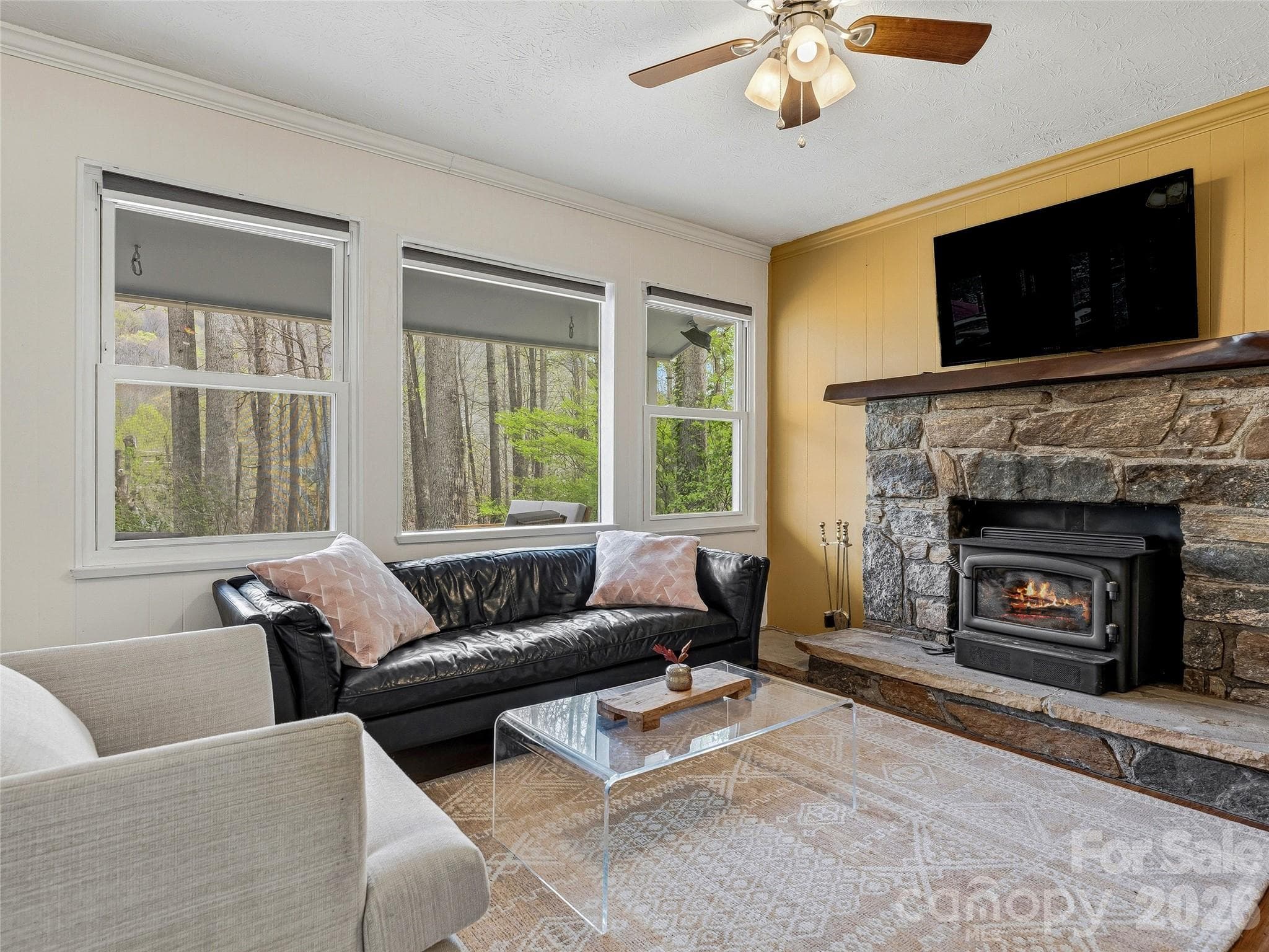 Single Family Residence at Maggie Valley, photo 4 of 39
