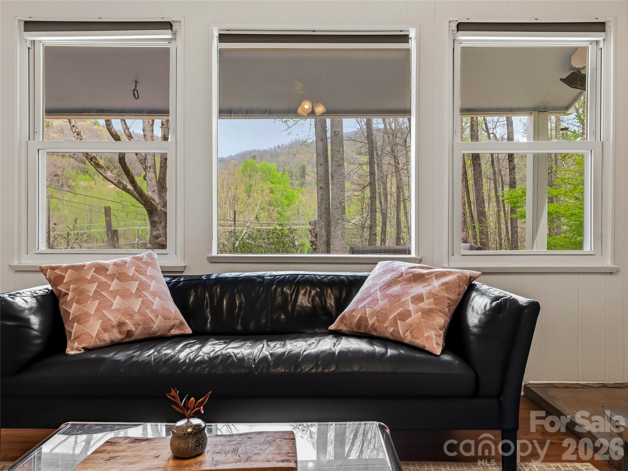 Single Family Residence at Maggie Valley, photo 3 of 39
