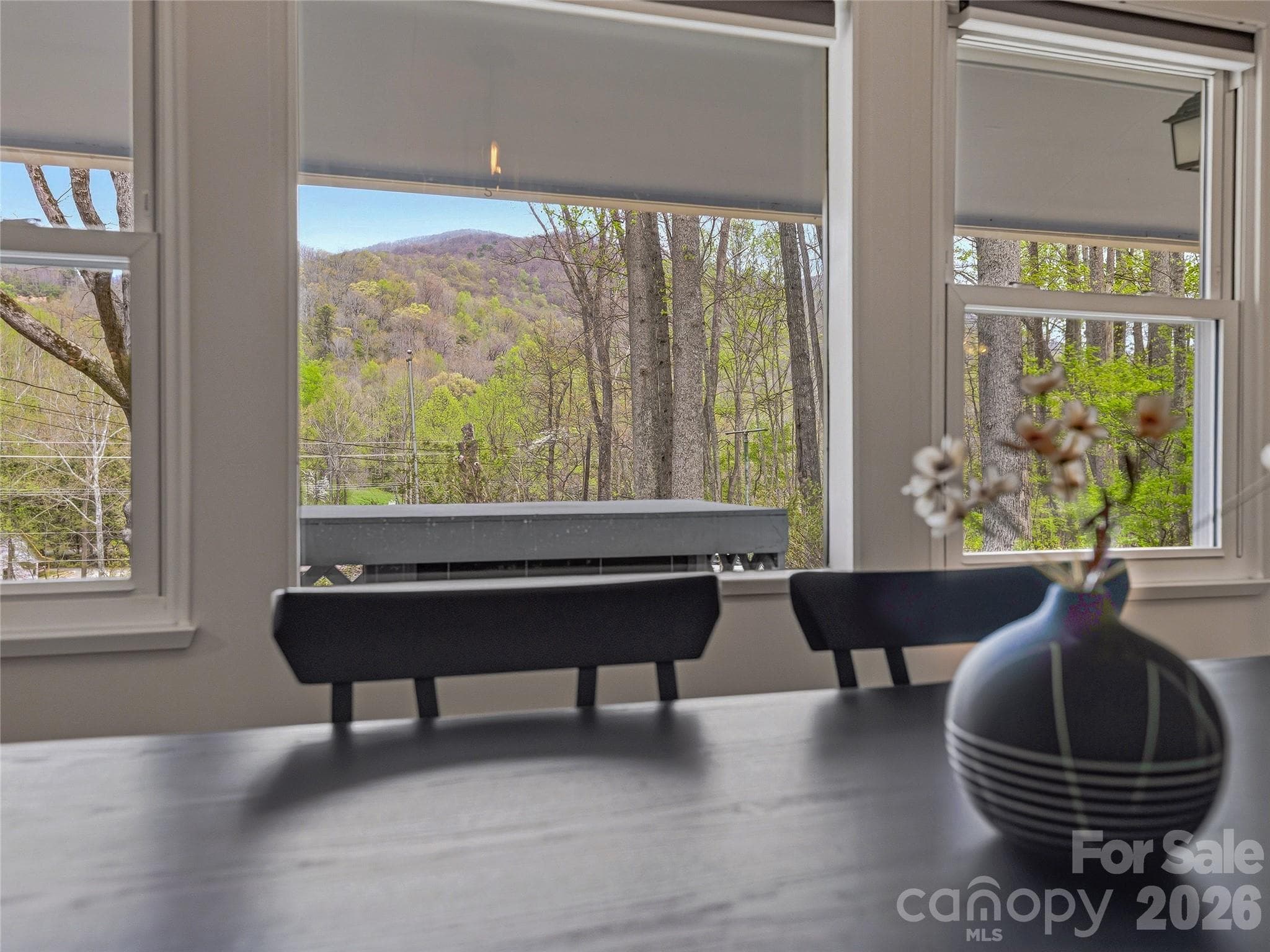 Single Family Residence at 36 Dogwood Drive, Maggie Valley, photo 10 of 39