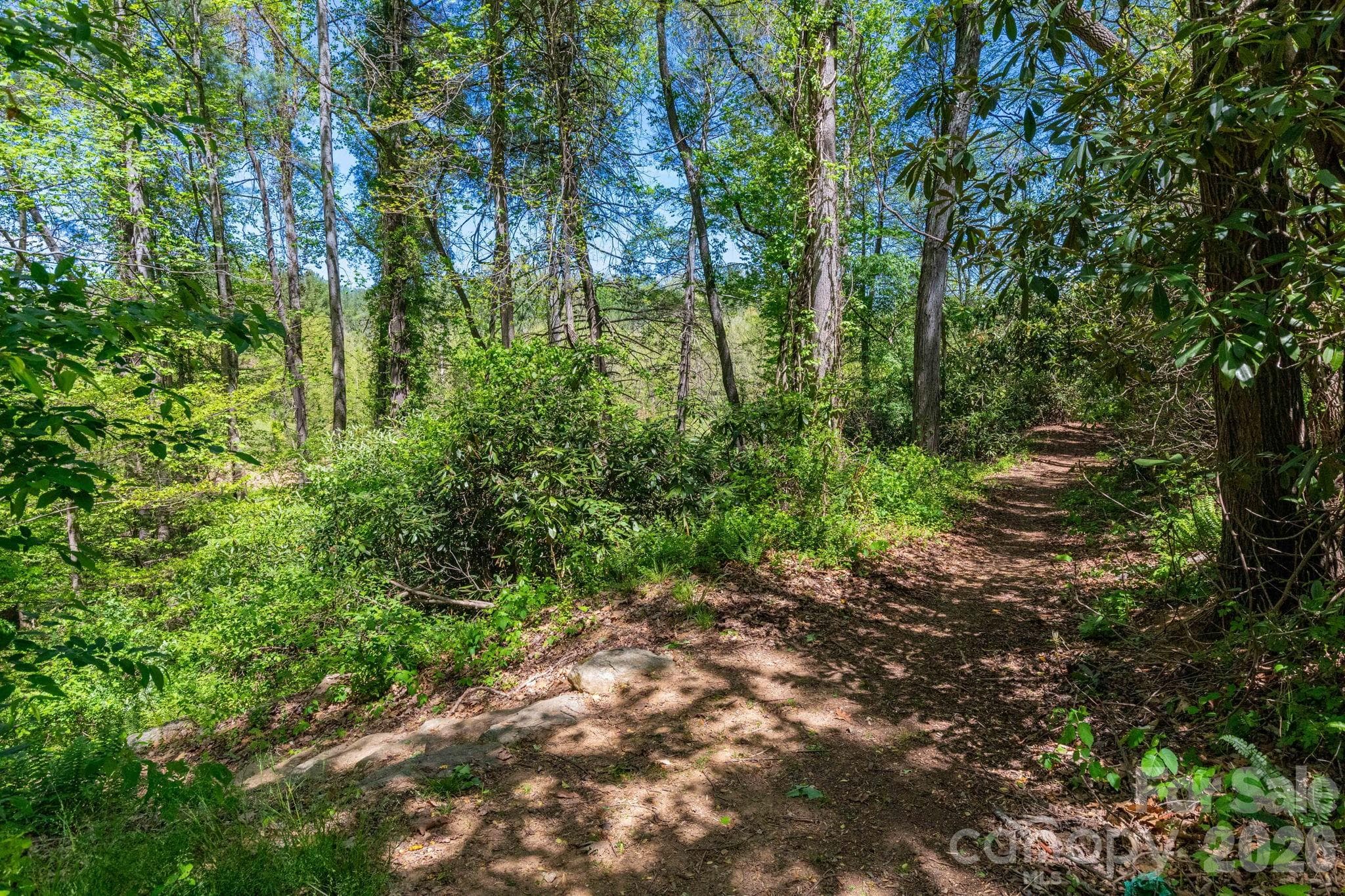 Common Area Walking Trail - 400 Vista Lake Drive, Candler