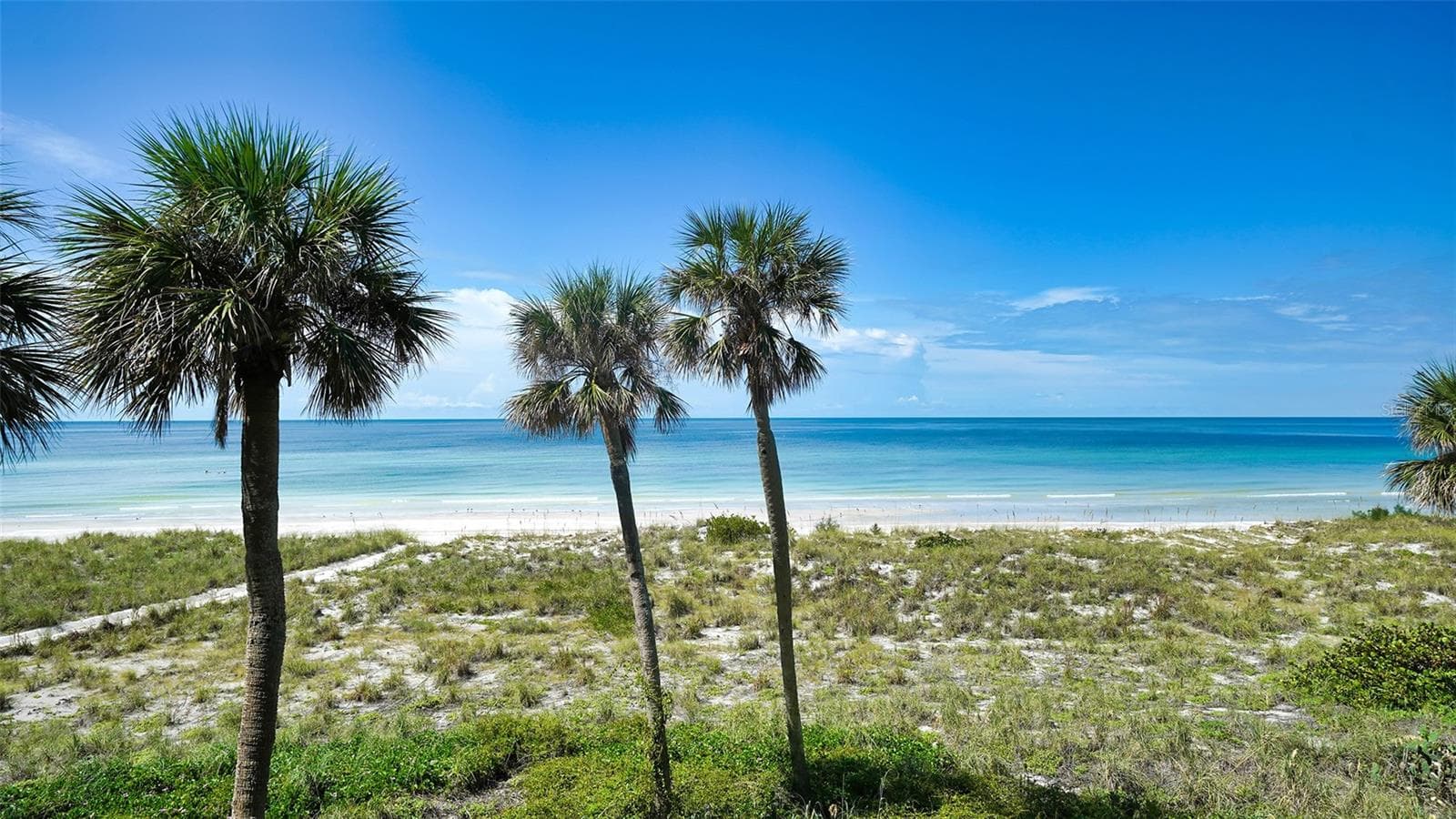 4325 GULF OF MEXICO DR #305