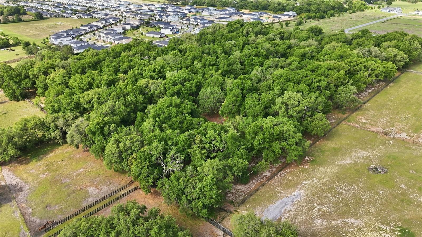 Land at 2020 HAAS RD, APOPKA, photo 64 of 67