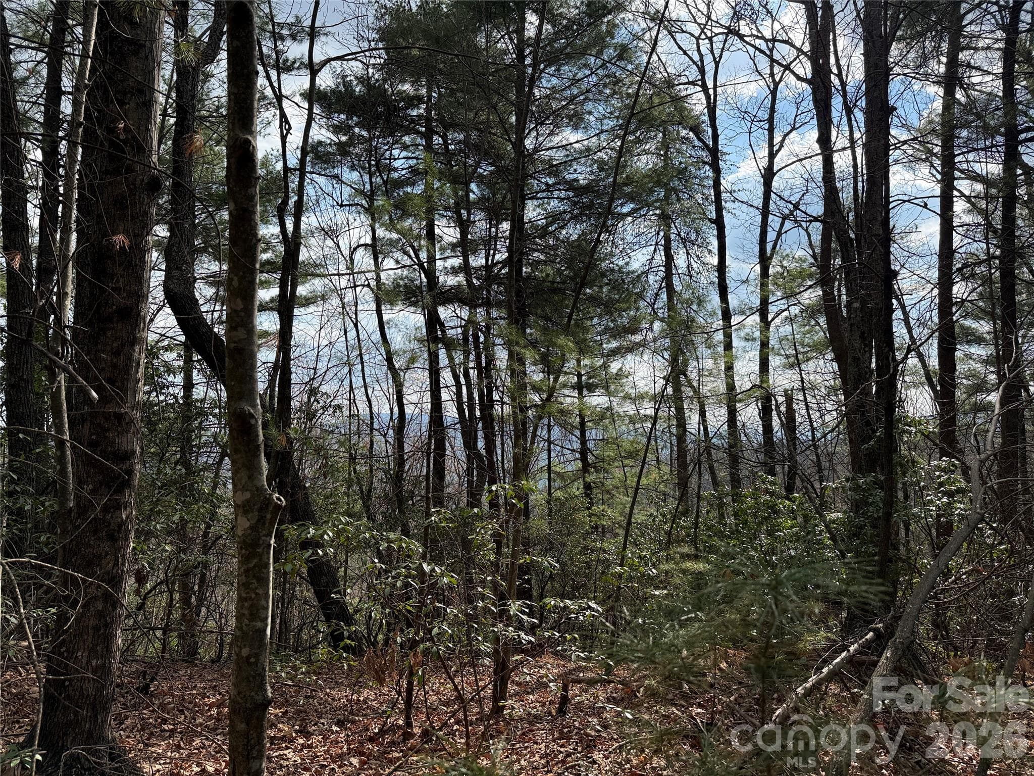 TBD Staghorn Road