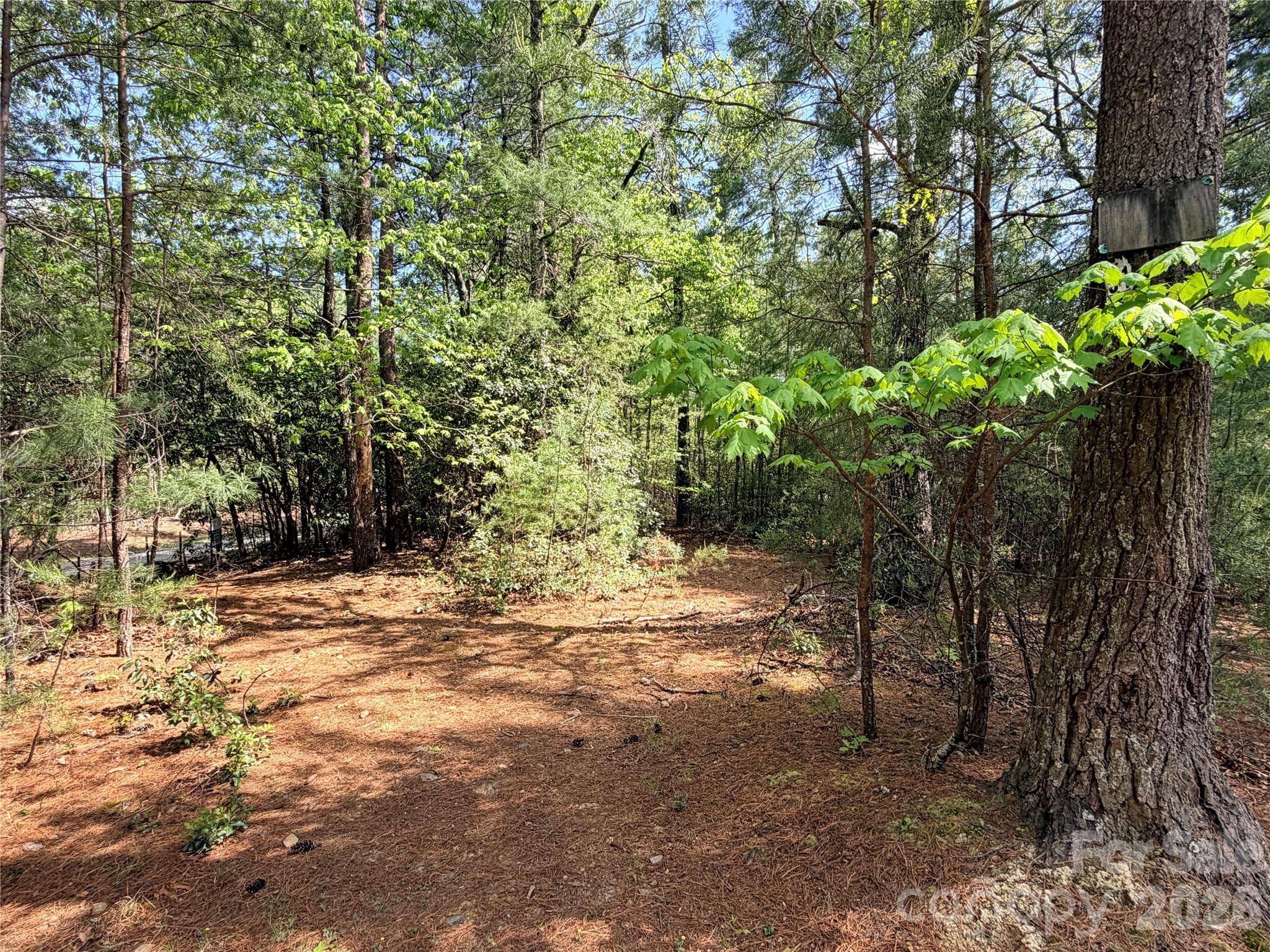 Lot at TBD Staghorn Road, Purlear, photo 4 of 47