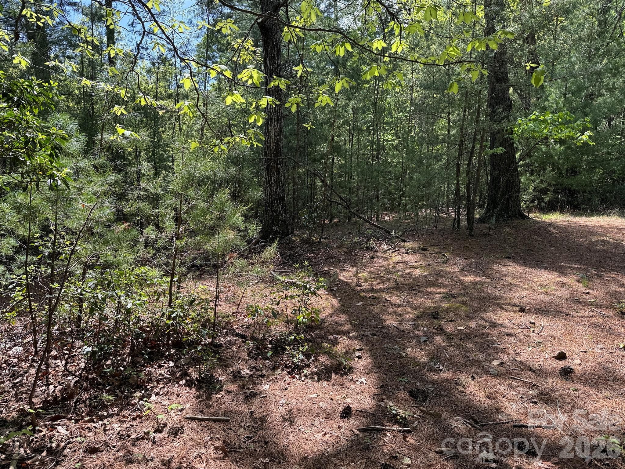 Lot at TBD Staghorn Road, Purlear, photo 5 of 47