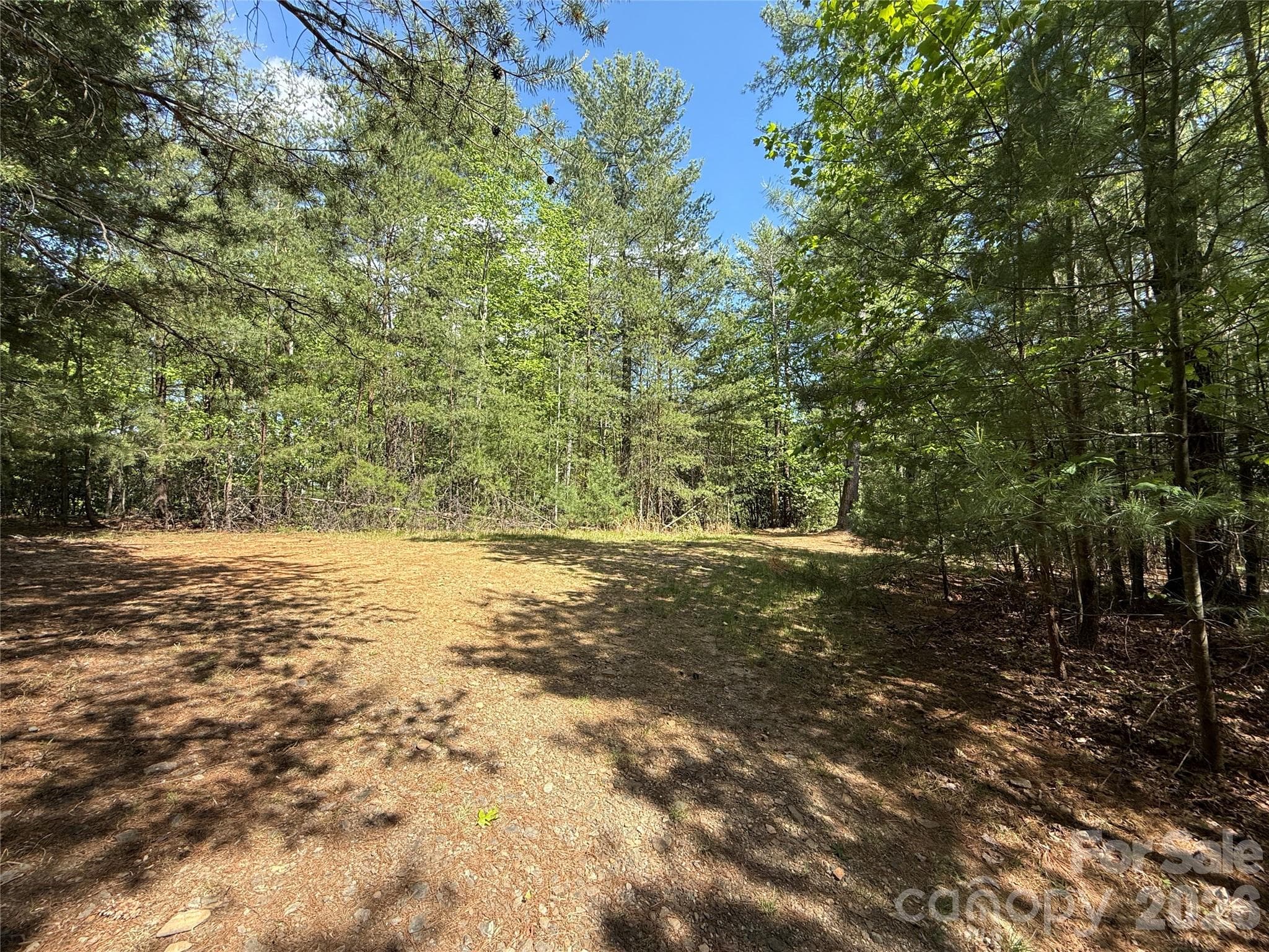 Lot at TBD Staghorn Road, Purlear, photo 7 of 47