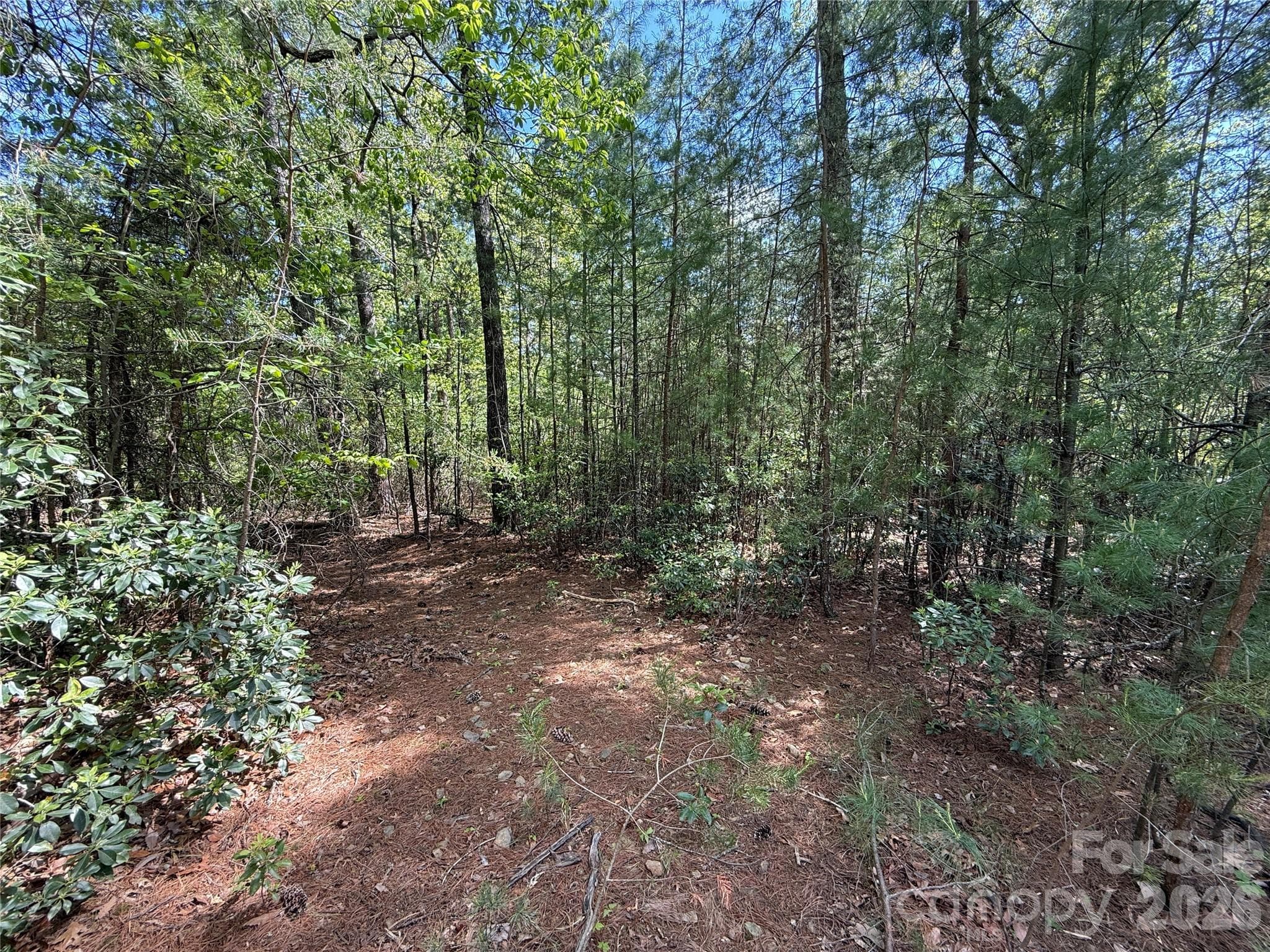 Lot at TBD Staghorn Road, Purlear, photo 9 of 47